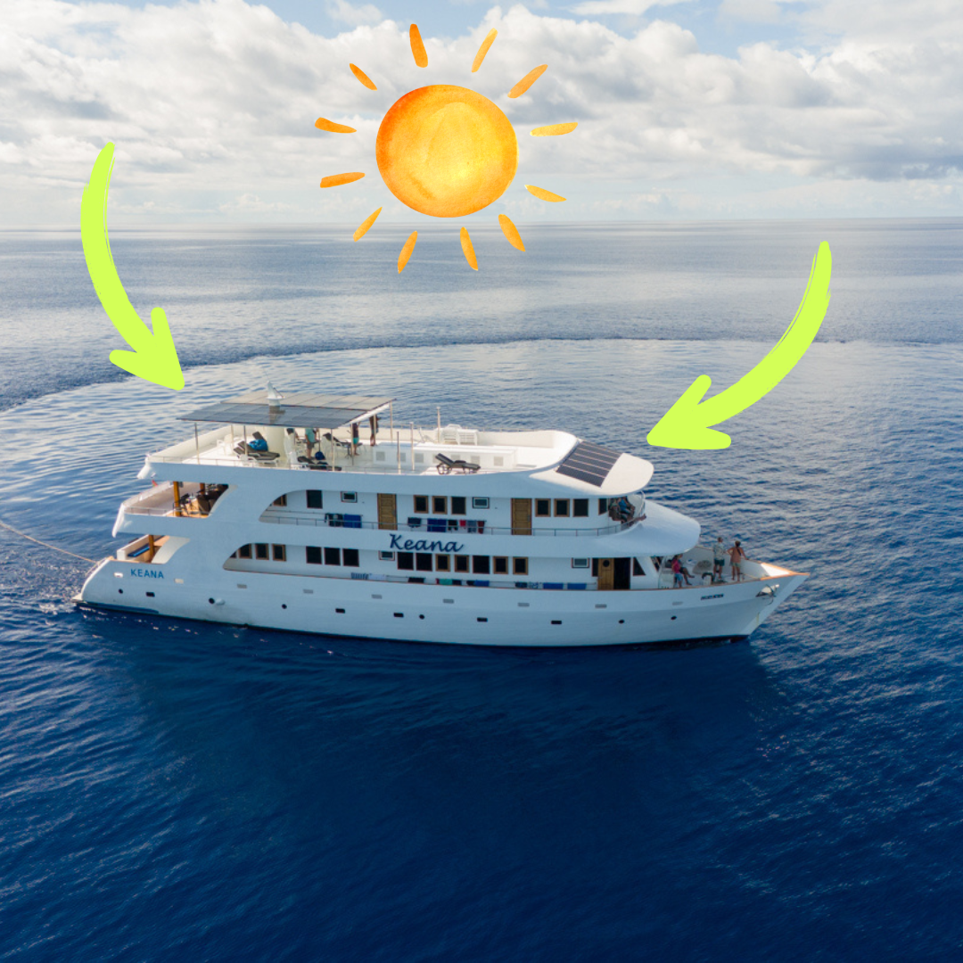 MV Keana – teilweise solarbetriebenes Tauchsafari-Boot im internationalen Vergleich