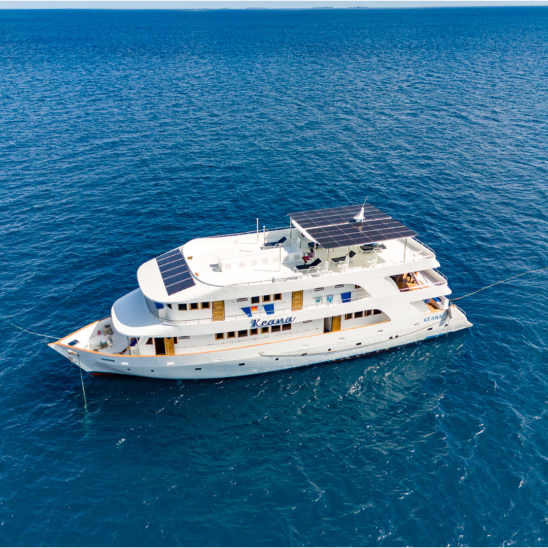 MV Keana Safari-Boot – rund 40 Prozent weniger Dieselgeneratorstunden durch Solarenergie